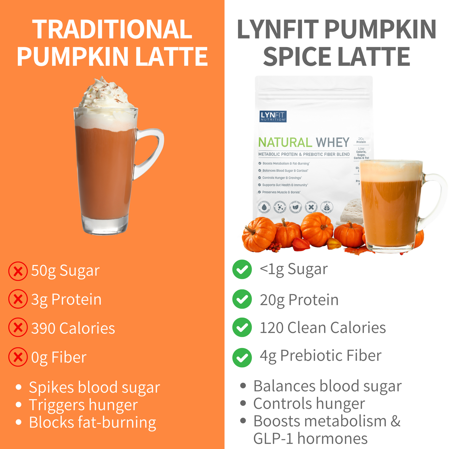 Metabolic Boosting Natural Whey Protein w/Prebiotic Fiber for Weight Loss, Fat-Burning + Hunger Control, Sugar & Lactose-Free (2lbs.)