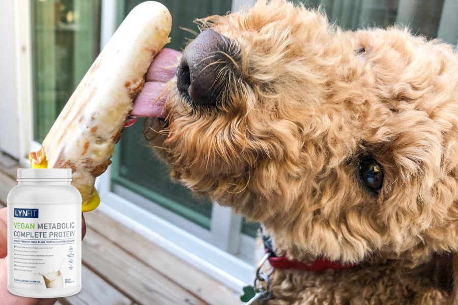 RECIPE: Vegan Banana Cream Ice Cream