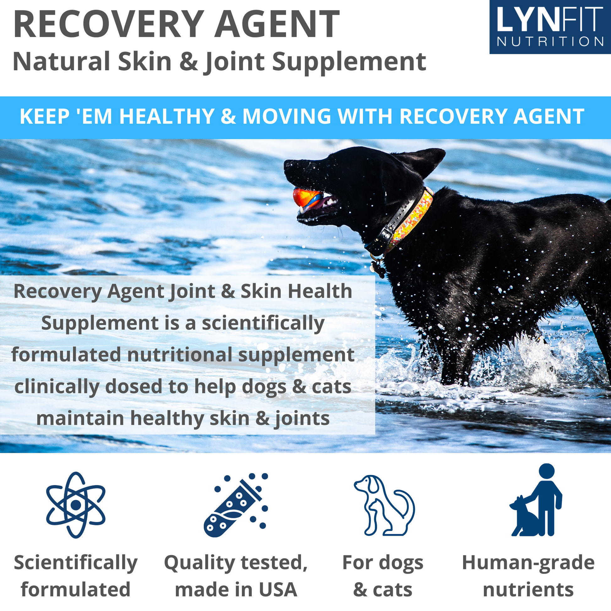 Recovery Agent for Dogs & Cats Advanced Hip & Joint Formula + MSM | 60 Chewable Tablets